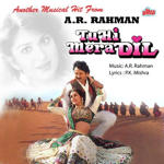 Tu Hi Mera Dil (1995) Mp3 Songs